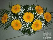 Cveće