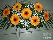 Cveće
